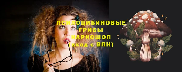 гидра Абинск