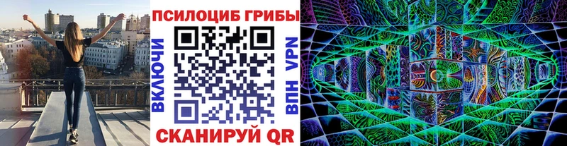 Галлюциногенные грибы MAGIC MUSHROOMS  Сураж 